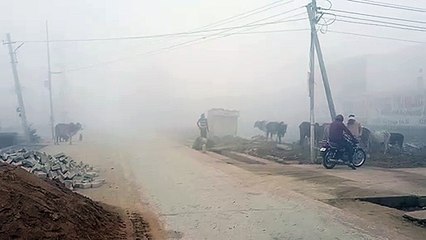 Скачать видео: Cold Wave in Rajasthan- जोबनेर शून्य डिग्री तो फतेहपुर का पारा 0.7 डिग्री सेल्सियस