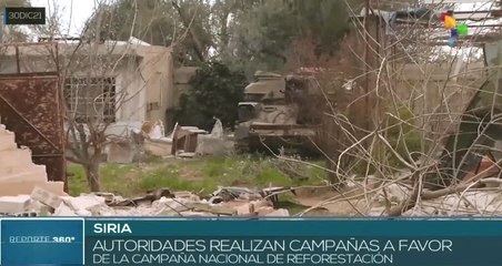 Siria recibe el año nuevo con campaña de reforestación