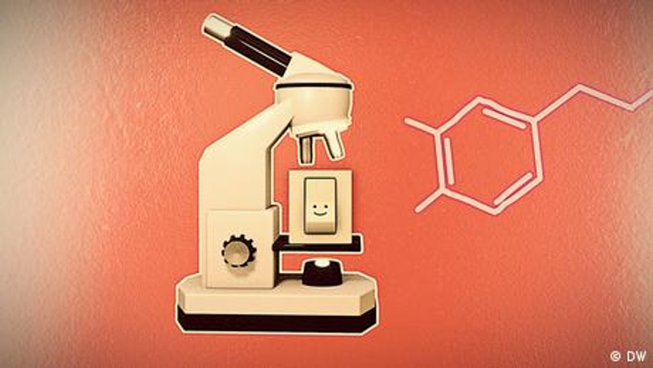 Neurotransmitter - Schalter zum Glück