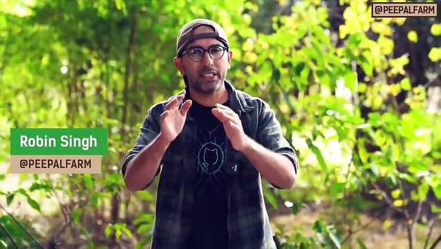 Halal Meat vs Jhatka Meat! - Is it about less pain to animals-