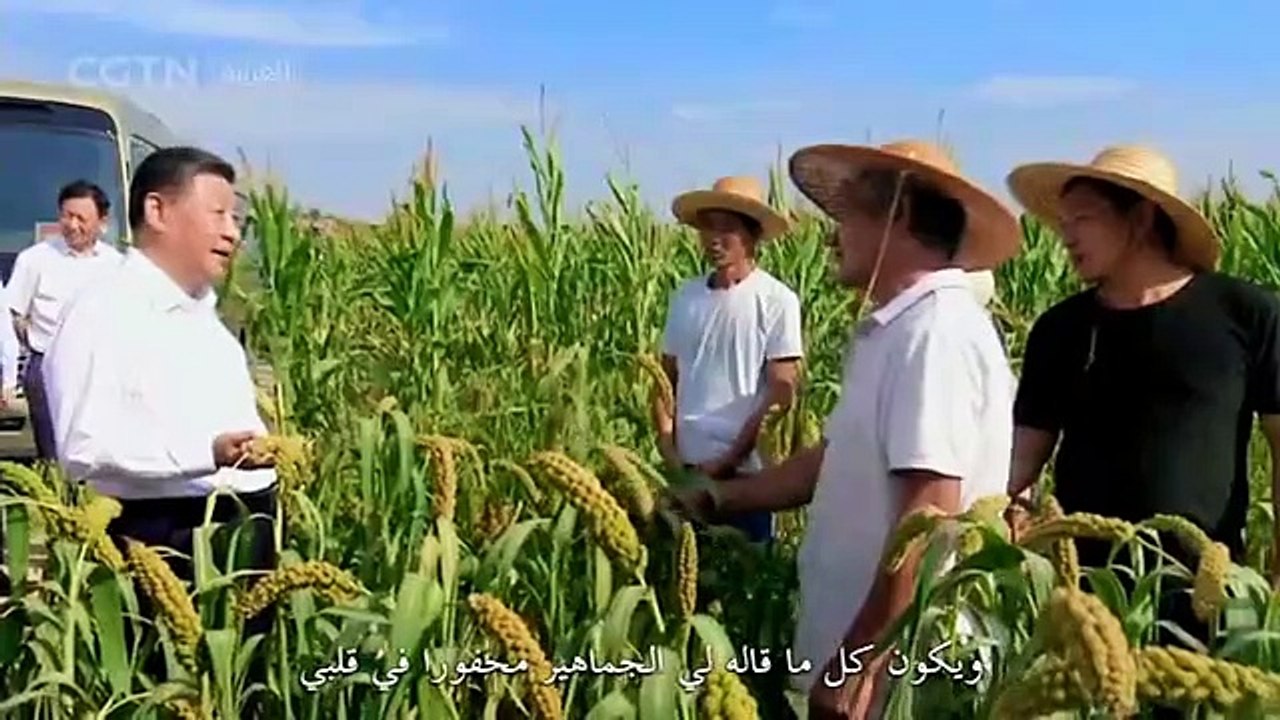 الرئيس الصيني شي جين بينغ يلقي كلمة بمناسبة العام الجديد