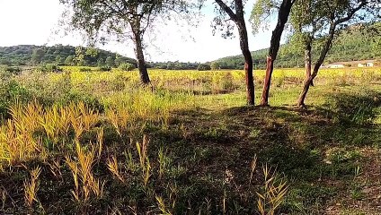 Roquebrune-sur-Argens