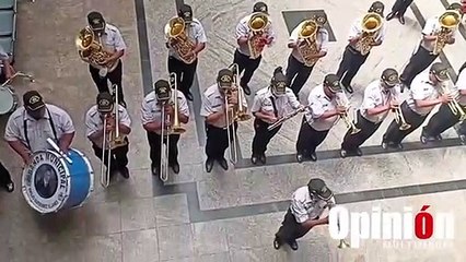 "Capi" el perrito adoptado por Alcaldía de Cochabamba