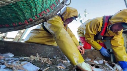 Les professionnels britanniques font un constat très négatif de la première année de Brexit