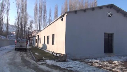 Tatvan'da sokak hayvanlarına yönelik kısırlaştırma çalışması sürüyor
