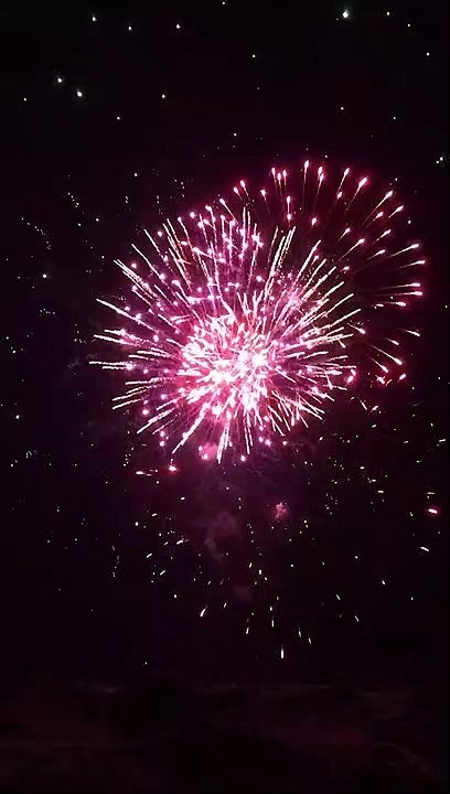 #Short | #2022 | Happy New Year ✨✨