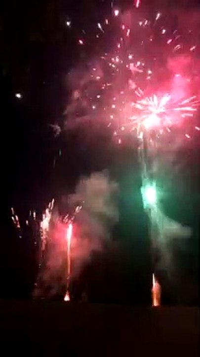 #Short | #2022 | Happy New Year ✨✨