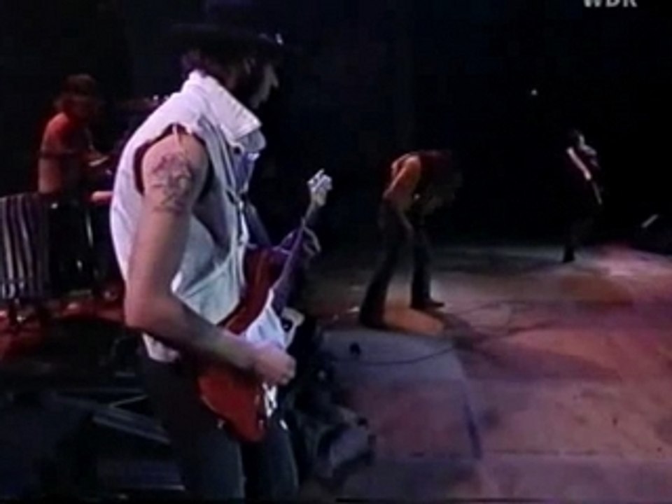 Jingo de Lunch Underdog