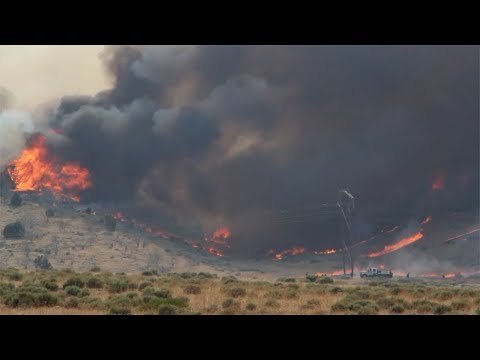 غابات الأمازون أسبوع من الحرائق في رئة الأرض يهدد البشرية