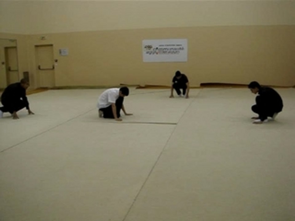 Danse contemporaine STAPS Evry