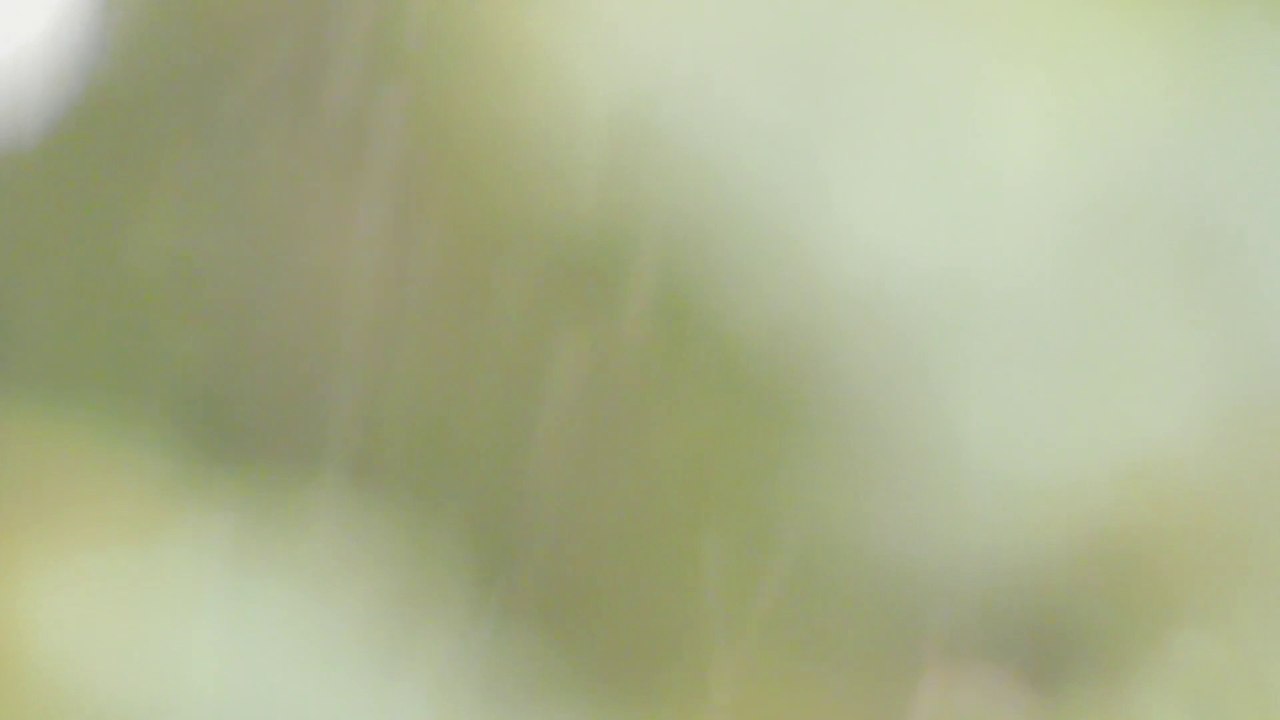 Raining and snowing Sound
