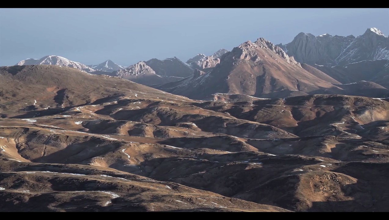 DER SCHNEELEOPARD Film