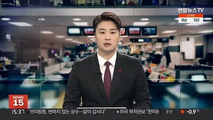 美부차관보 "한미동맹, 전세계로 영향력 확대 노력"