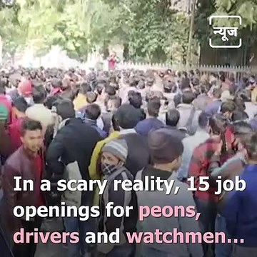 15 Govt Jobs, 11 Thousand Applicants: Harsh Reality Of Unemployment In MP