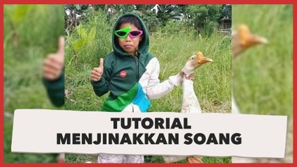 Viral Video Tutorial Menjinakkan Soang, Warganet: Tidak Berlaku untuk yang Kerasukan Reog