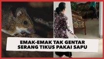 Viral Emak-emak Tak Gentar Serang Tikus Pakai Sapu, Warganet: Ras Terkuat kok Dilawan