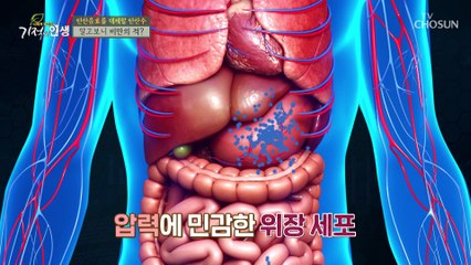 다이어터들이 많이 찾는 탄산수.. 살이 찔수 있다 TV CHOSUN 20220101 방송