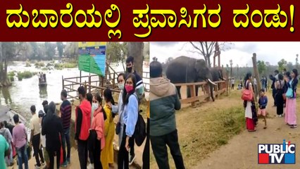 Hundreds Of People Visit Dubare Elephant Camp Amid Covid19 Fear