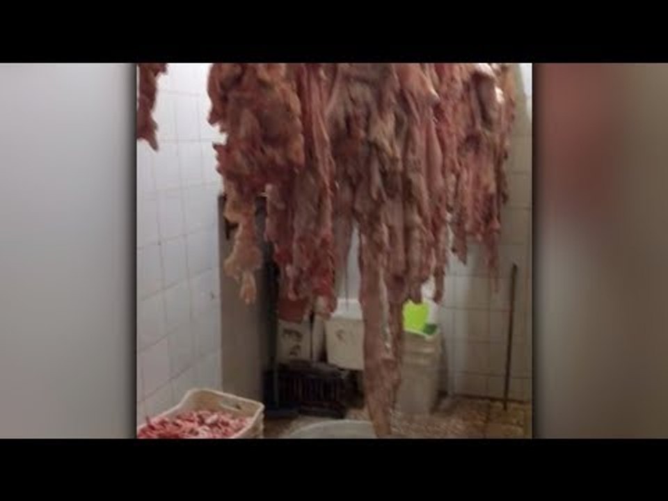 مصادرة 4 أطنان لحوم فاسدة في الغربية قبل بيعها...