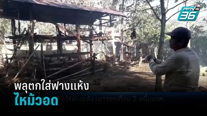 พลุตกใส่ฟางแห้ง เผาวอดสูญเกือบ 2 หมื่นบาท - เข้มข่าวค่ำ