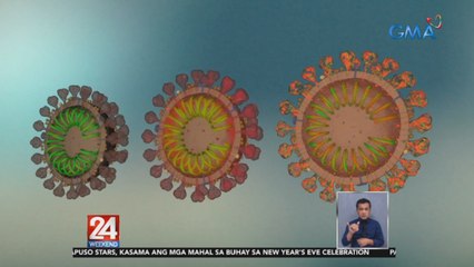 DOH, puspusan ang monitoring ngayong may local case na ng Omicron variant | 24 Oras Weekend