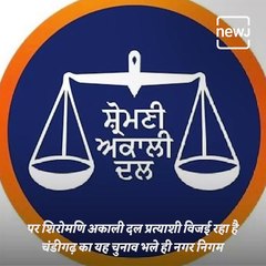 AAP's Victory In Chandigarh Municiple Elections