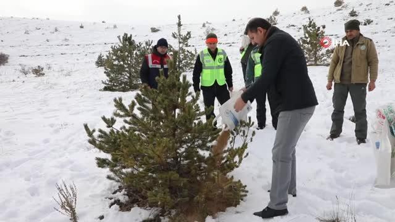 Sivas Valisi Salih Ayhan yaban hayvanları için doğaya yem bıraktı