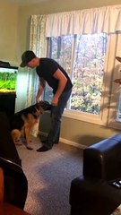 Doggy Will Only Let Dad Pick Her Up