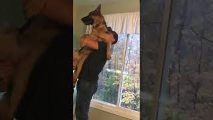 Doggy Will Only Let Dad Pick Her Up