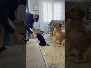 Parent Helps Puppy Learn New Trick