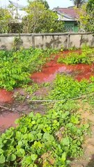 Blood Red Flood Water in Aceh