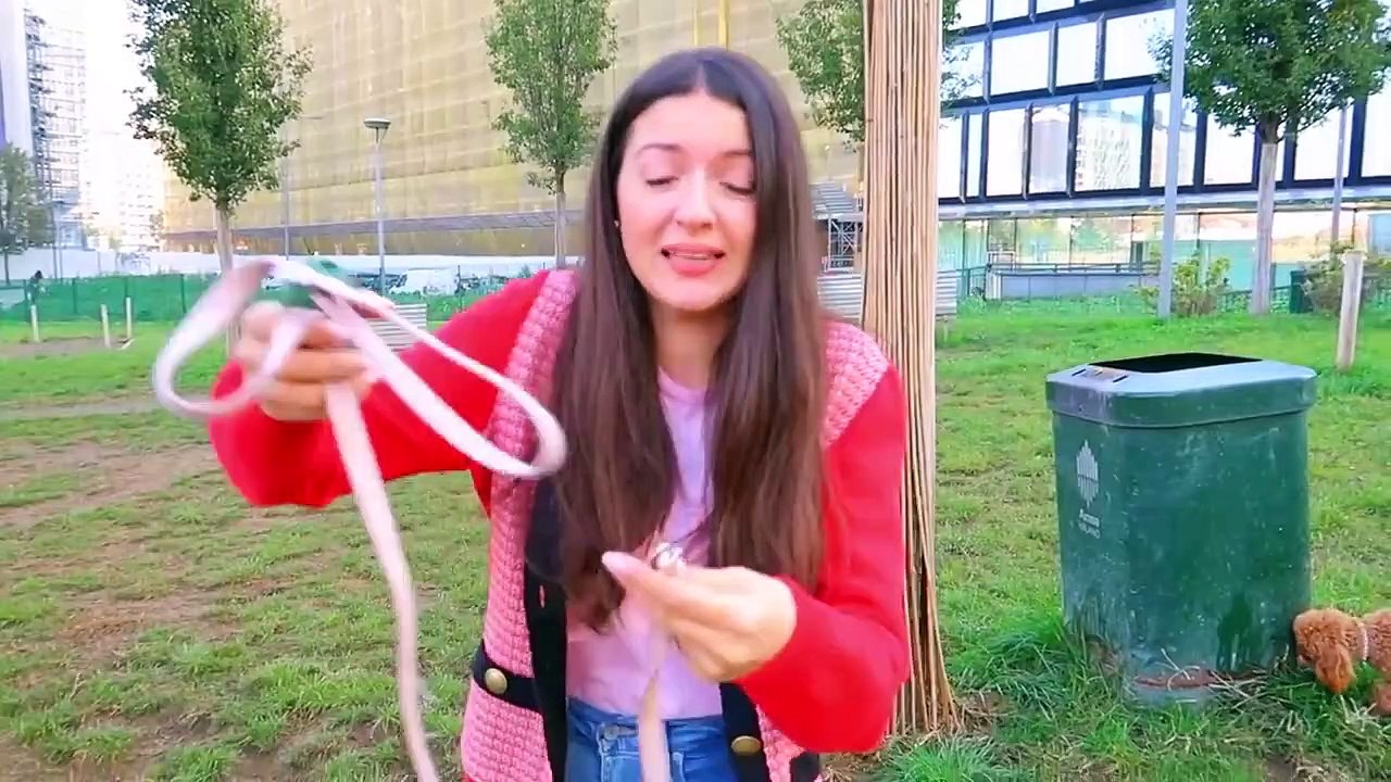 IL NOSTRO CUCCIOLO IMPARA LA CORSA AD OSTACOLI!!