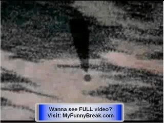 Popeye the Sailor Man - Insect to Injury