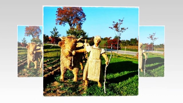 Festival de Arte Wara, Esculturas en paja (Japón)