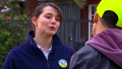Ámbar Capítulo 16