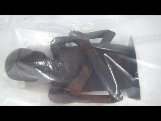 حكاية سن نجم الأخ اللطيف وزوجته إيزيس في عهد رمسيس الثاني