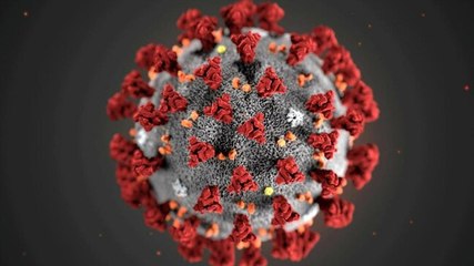 What is Florona, disease first detected in Israel