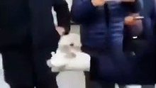急凍活魚復生