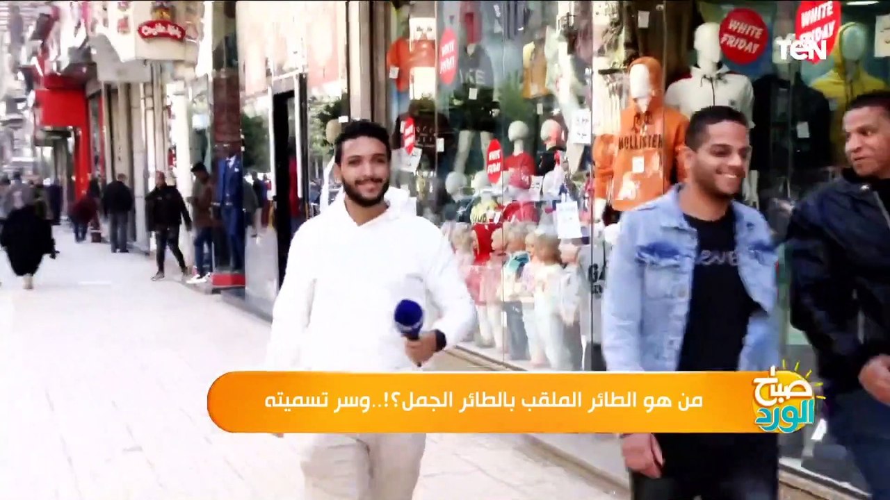 سألنا الناس في الشارع ياترى إيه أكتر طائر يشبه الجمل؟.. شوف الاجابات كانت إزاي