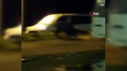 Eyüpsultan'da aç kalan domuz şehir merkezine indi