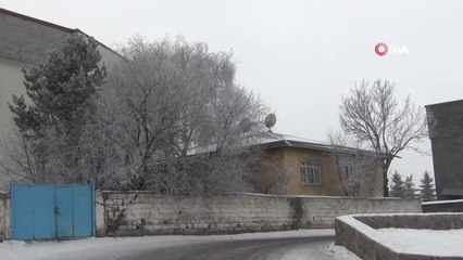 Kars'ta ağaçlar kırağı tuttu