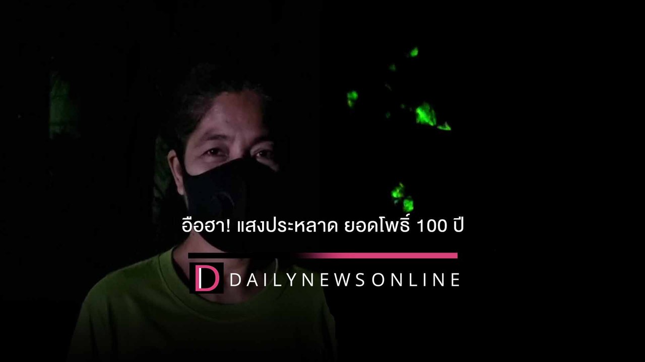ฮือฮา! แสงประหลาด ยอดโพธิ์100ปี โผล่ทุกคืนทำชาวบ้านผวา วอนพิสูจน์  | HOTSHOT เดลินิวส์ 02/01/65
