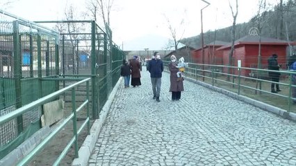 Mamak'taki hayvanat bahçesi ikiz keçiler "ay" ve "yıldız" ile yeni yıla girdi