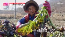 농사는 엄마가 다 하네ㅠㅠ 베짱이 아빠와 부지런한 엄마 TV CHOSUN 20220102 방송