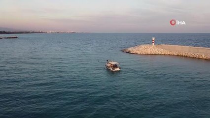 Akdeniz'in simgesi bir bir yok oluyor... İki haftada ikinci kez ölü Caretta Caretta bulundu