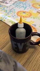 Cute Animals for When You are Stressed