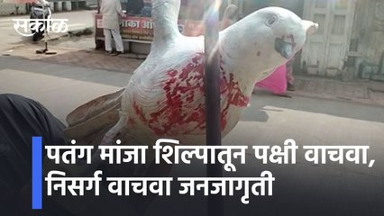 पतंग मांजा शिल्पातून पक्षी वाचवा, निसर्ग वाचवा lSave the birds from the kite cats sculpture |Sakal