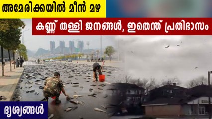 മഴയായ് പെയ്തിറങ്ങിയത് ചെറു മീനുകൾ, അത്ഭുത പ്രതിഭാസം