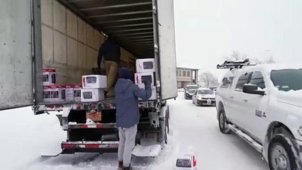Desolação no Colorado: Neve cobre destroços de mil casas devastadas pelo fogo