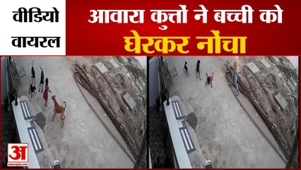 पीएम मोदी ने व्यायाम करने वाली मशीन पर हाथ आजमाया,वीडियो वायरल |PM Modi Started Exercise On Machine